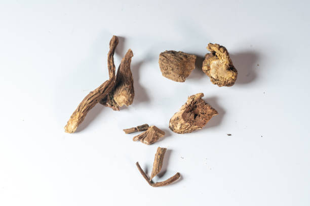 istock chinese medicine radix dipsaci on white background 1402235209