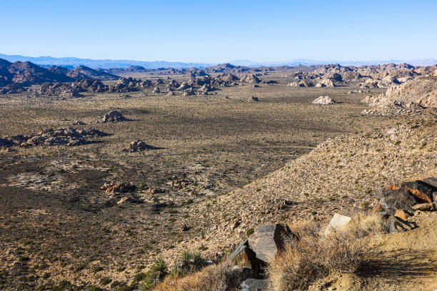 istock Joshua Tree National Park, Mojave Desert, California 1402238927
