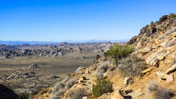 istock Joshua Tree National Park, Mojave Desert, California 1402238937