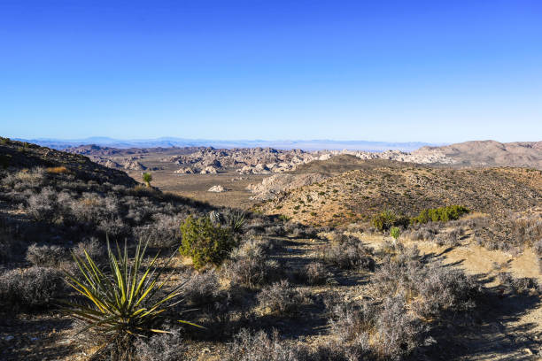 Joshua Tree National Park, Mojave Desert, California