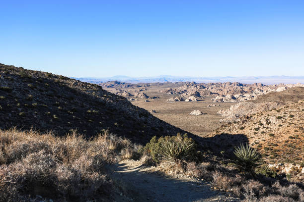 istock Joshua Tree National Park, Mojave Desert, California 1402238958