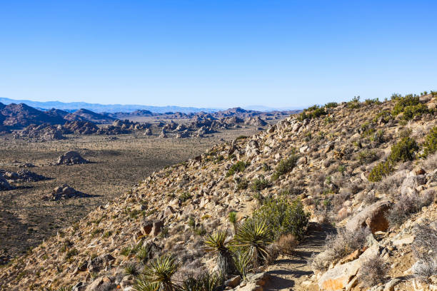 istock Joshua Tree National Park, Mojave Desert, California 1402238979