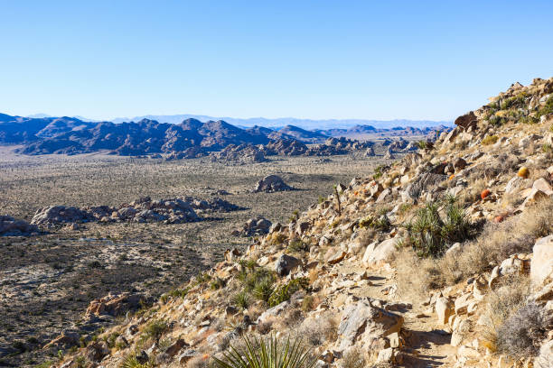 istock Joshua Tree National Park, Mojave Desert, California 1402238992