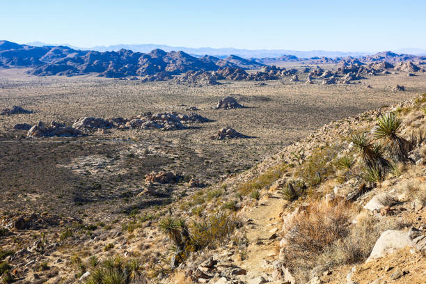 istock Joshua Tree National Park, Mojave Desert, California 1402239177