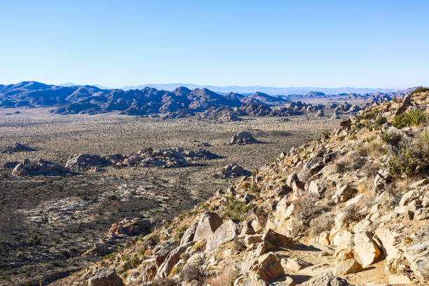 istock Joshua Tree National Park, Mojave Desert, California 1402239192