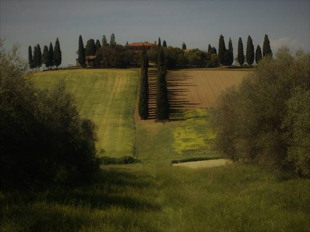 The Villa from the movie \