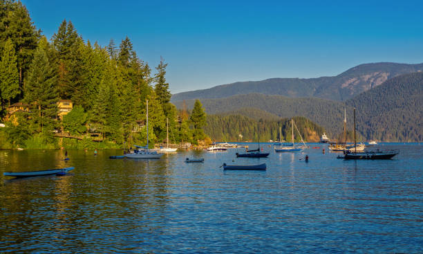 istock Hillside village and marina in Deep Cove 1402243874