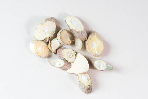 istock chinese medicine Ramulus mori on white background 1402244023