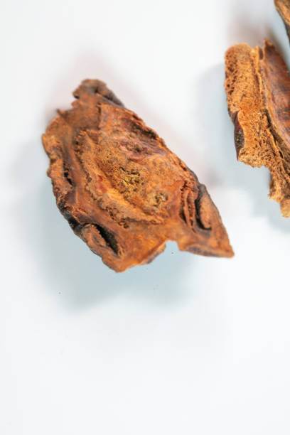 istock chinese medicine  fructus chaenomelis on white background 1402244971