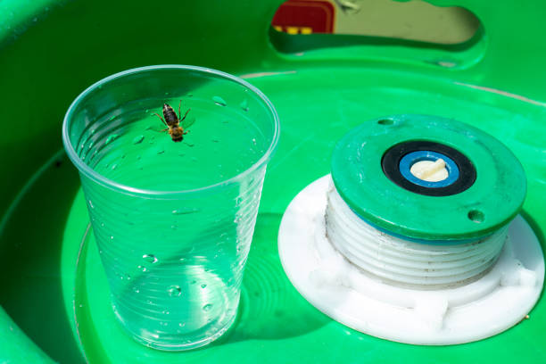 l’abeille boit de l’eau d’un gobelet en plastique jetable sur un fût vert - disposable cup plastic beer bottle photos et images de collection