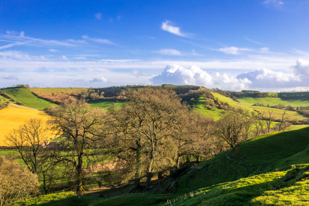 istock Cadbury Hillfort Somerset 1402252699