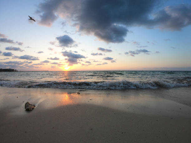 멕시코의 플라야 델 ��카르멘 해변의 일출 - isla mujeres mexico beach color image 뉴스 사진 이미지