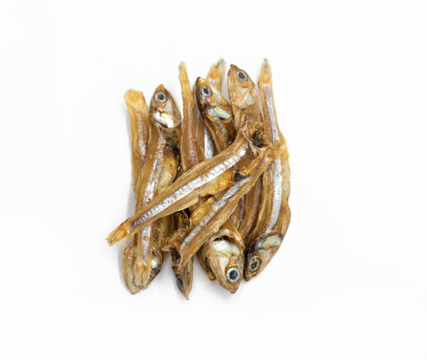 small sun dried fishes .Tiny Fish as food ingredient, rich natural source of calcium nutrition over on white background stock photo