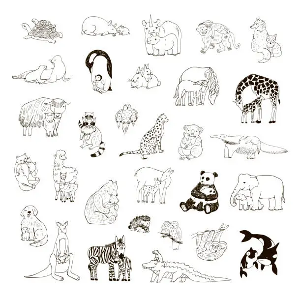 Vector illustration of Animals with babies vector illustrations set