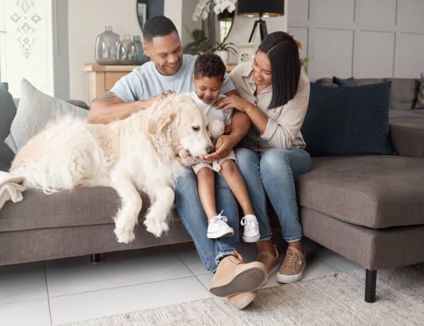 une joyeuse famille métisse de trois personnes se relaxant sur le canapé avec leur chien. famille noire aimante étant affectueuse avec un animal en famille d’accueil. un jeune couple se lie avec son fils et son chiot sauvé à la maison - dog family indoors child photos et images de collection