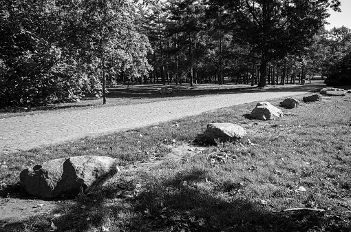 Industrial park in Nitra, Slovak republic. Panoramic photo. Seasonal natural landscape. Black and white photo.