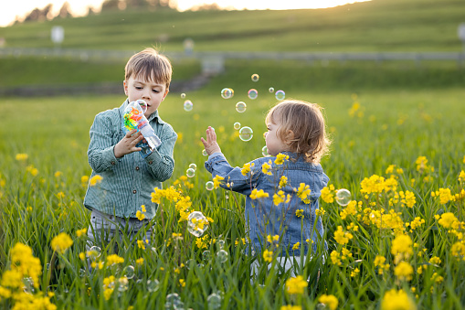 Green field yellow flowers two small children and a beautiful sunset