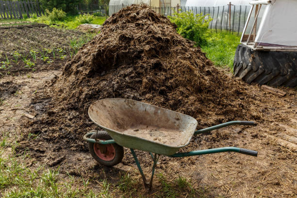 istock Wheelbarrow and dunghill 1402267199