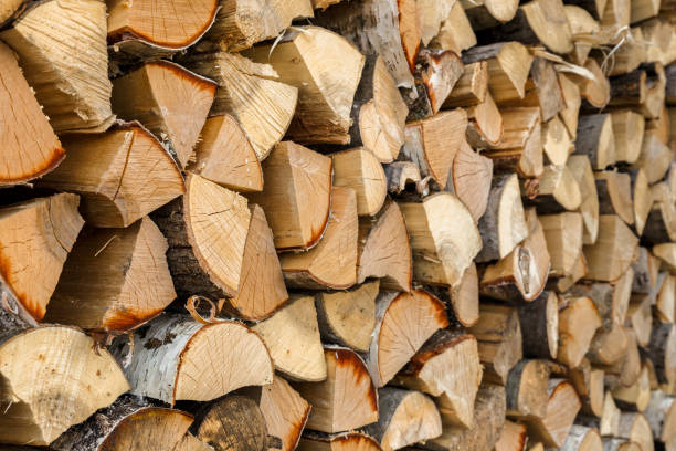 istock firewood stacked in the woodpile 1402270082