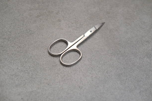 istock Metal manicure scissors on a gray background 1402272117