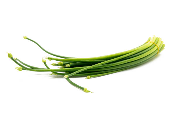istock chives or garlic chives isolated on white background. 1402273608