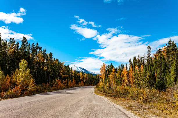 istock Journey to an autumn fairy tale 1402280479