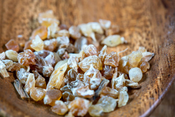 istock chinese medicine allium macrostemon dried on wooden table 1402287597