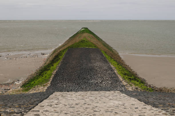 Cars and Trucks with freight cargo trailers driving on the A6 highway road near Lelustad and the IJsselmeer lake in Flevoland, The Netherlands during summer. High angle drone image.