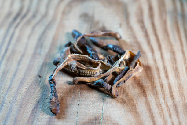 chinese medicine earthworm on wooden table stock photo