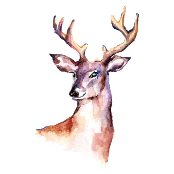 istock Watercolor deer over white background, Vector cartoon animals illustration art for wallpaper 1402292297