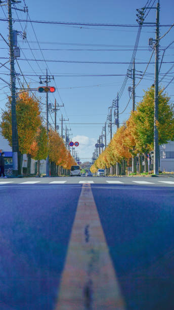 istock Street in Tokyo 1402294436