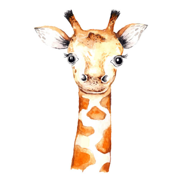 stockillustraties, clipart, cartoons en iconen met watercolor hand drawn giraffe isolated on a white background wallpaper. cartoon tropical animal vector illustration art - watercolour jungle