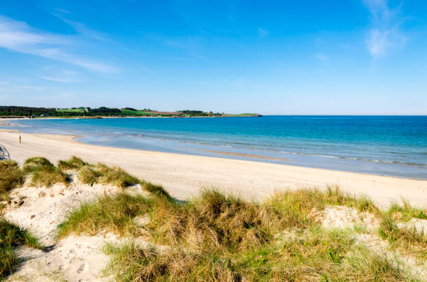 istock A view to Sola beach from the grass covered sand dunes 1402294523