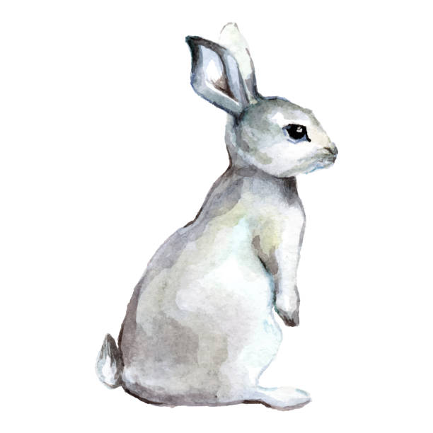 illustrations, cliparts, dessins animés et icônes de dessin animé lapin aquarelle vecteur illustration isolée sur fond blanc papier peint animaux. mignon lapin de pâques dessin à la main art - tame