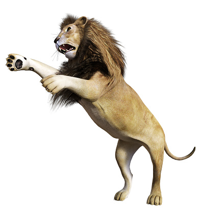 lion in front of white background, 3d illustration