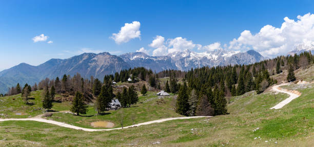 istock Kamnik-Savinja Alps and Velika Planina Landscape 1402297362