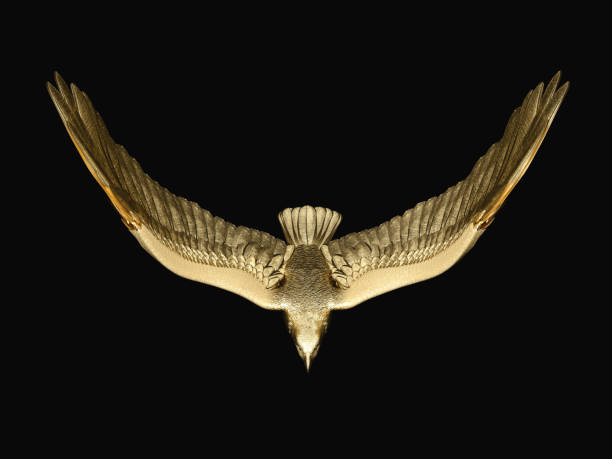 istock Statue of golden eagle. Top view. 3D illustration. 1402298531