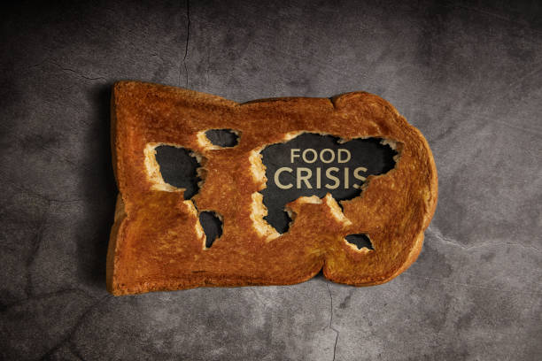 Food Shortage, World Food Crisis Concepts. Inflation, Fuel Price and Environmental Impact. Global Issues in Agricultural Food Production and Climate Change. Bread as World Map. Top View escasez de alimentos, conceptos de crisis alimentaria mundial. inflación, precio del combustible e impacto ambiental. problemas globales en la producción de alimentos agrícolas y el cambio climático. el pan como mapa del mundo. vista superior
