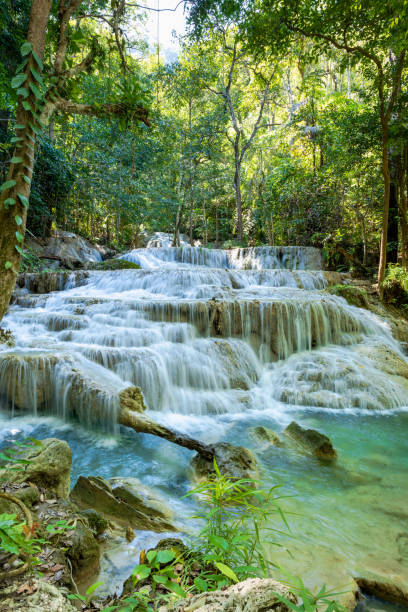 깊은 숲에 에메랄드 푸른 물이있는 태국의 에라완 국립 공원 - erawan falls 이미지 뉴스 사진 이미지
