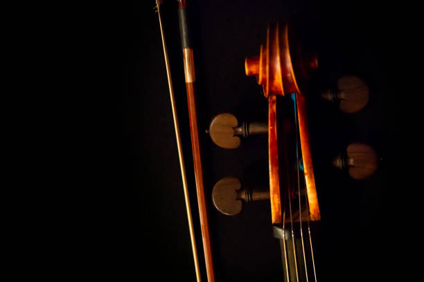 violin stock photo