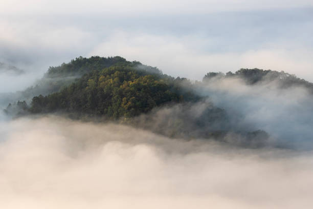 istock Morning Fog over Mountains 1402304055