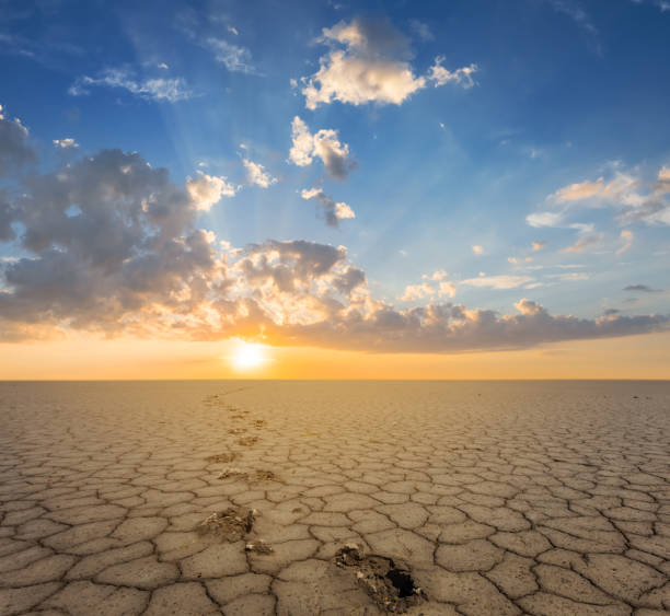 istock dry cracked earth with human track at the sunset 1402305090