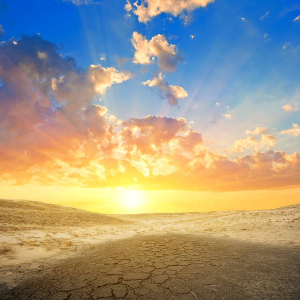 istock dry cracked earth at the sunset 1402305172