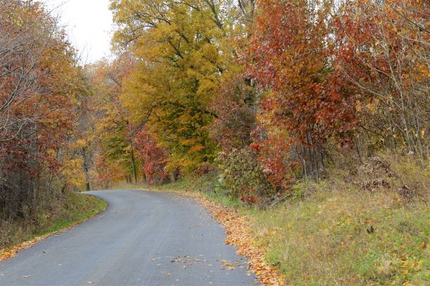 istock Autumn Parke County, Indiana 1402307543