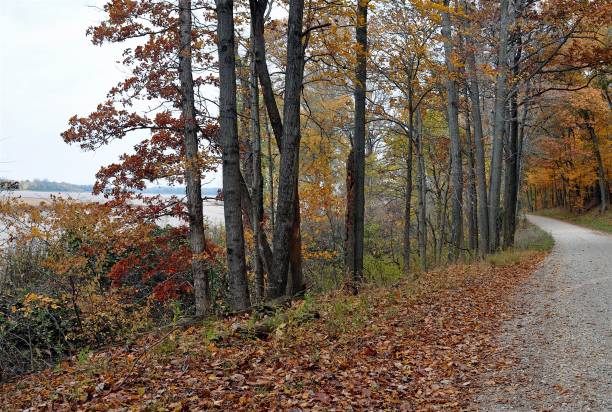 istock Autumn Parke County, Indiana, Wabash River Valley 1402307635