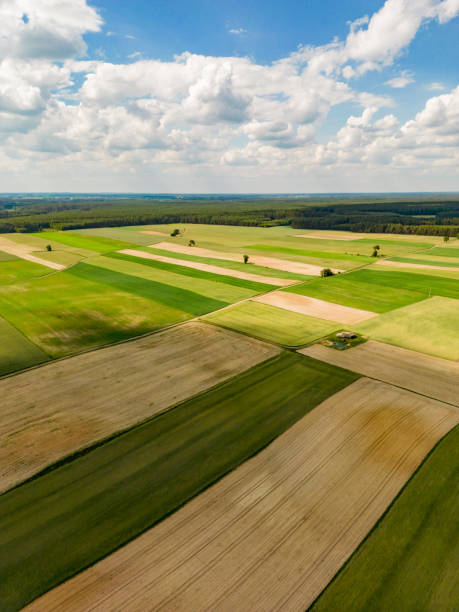 istock Aerial photo 1402308168