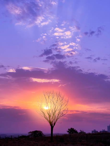 Outdoor image