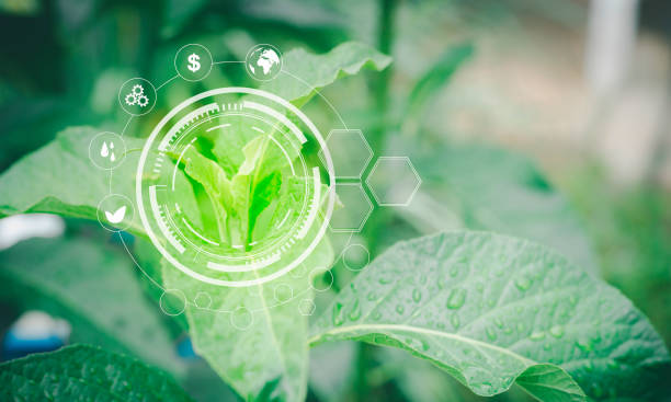 istock Leaf drop water in front environment icons over the Network connection on nature background 1402312911
