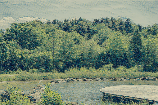 Green shrub in foreground with soft focus of dock and boat in background.