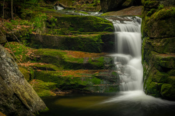 Jedlova creek in Jizerske mountains in spring cloudy morning